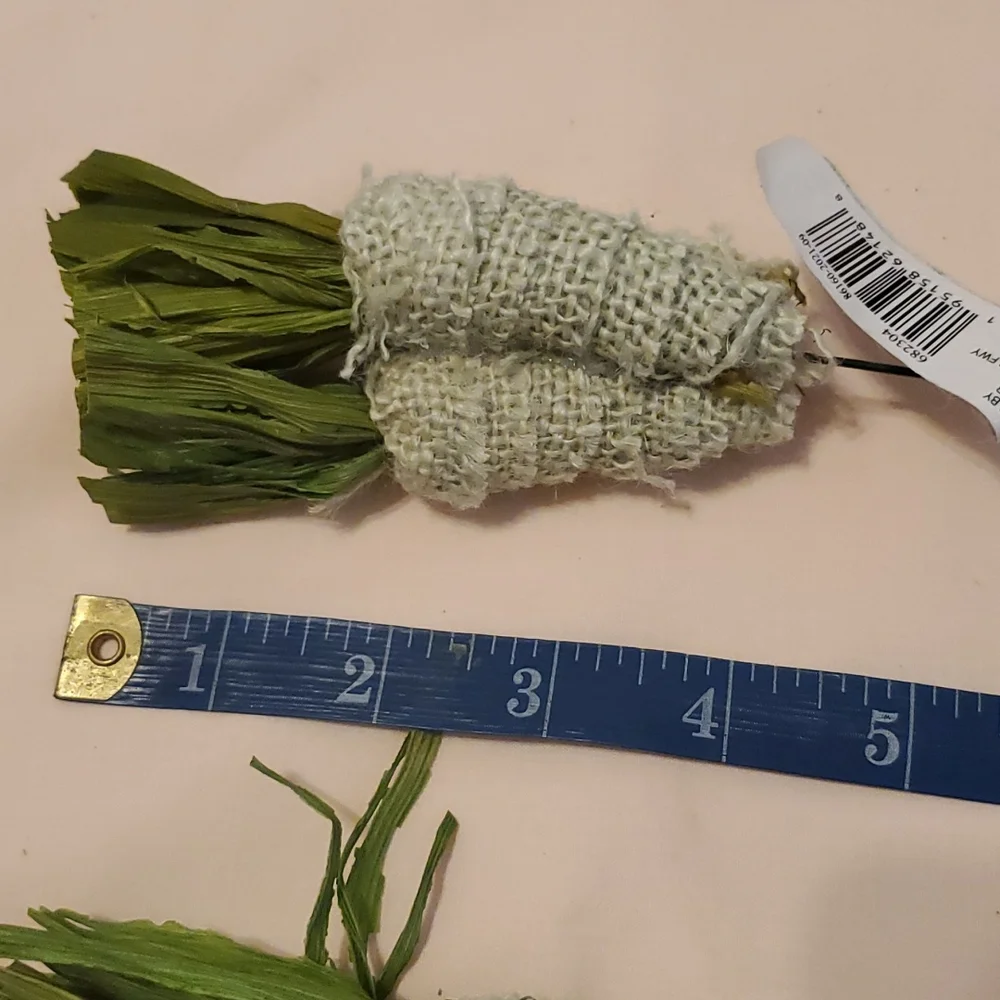 19 Mint Green Carrot Picks